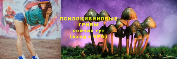 мдпв Нягань