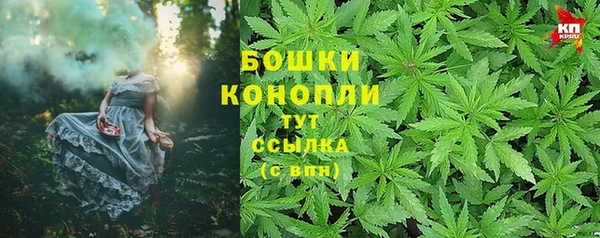 молекула духа Няндома