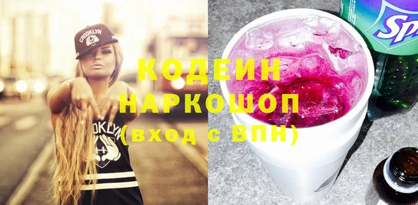 молекула духа Няндома