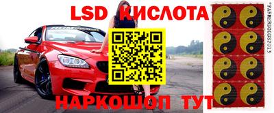 ПСИЛОЦИБИНОВЫЕ ГРИБЫ Бийск