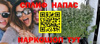 ПСИЛОЦИБИНОВЫЕ ГРИБЫ Бийск