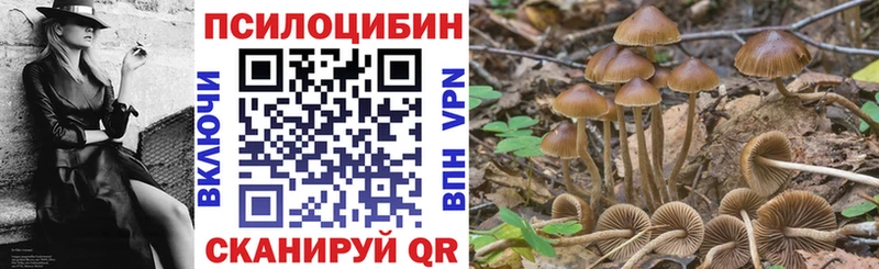закладка  Тосно  Галлюциногенные грибы мухоморы 