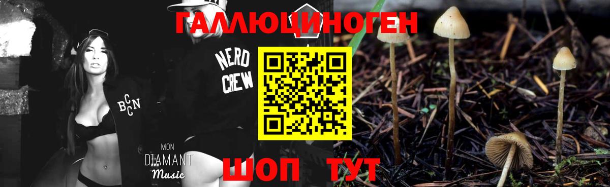 Псилоцибиновые грибы Cubensis  Псилоцибиновые грибы ЛСД  Тосно  Вход с VPN 